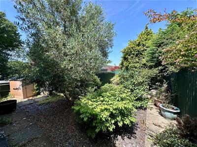 Picture 20